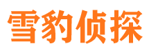 铜陵捉小三公司